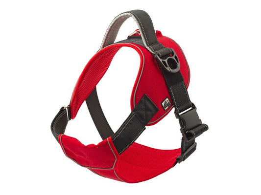 Extreme Harness Red XL