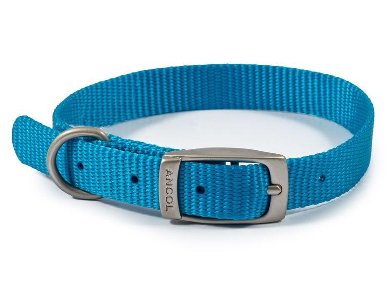 Viva Nylon Collar Blue S1 12"