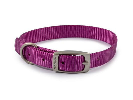 Viva Nylon Collar Purple S1 12"