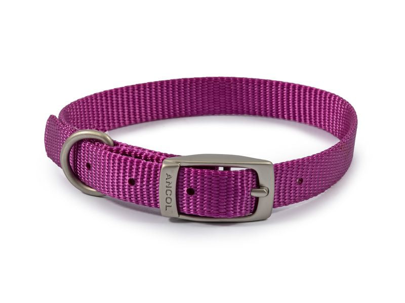 Viva Nylon Collar Purple S2 14"