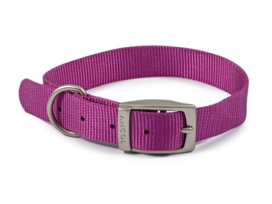 Viva Nylon Collar Purple S5 20"