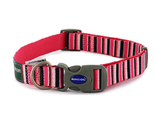 HOT PINK STRIPE ADJ COLLAR SIZE 1-2