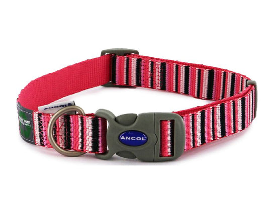 Hot PINK STRIPE ADJ COLLAR SIZE 5-9