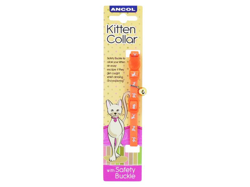 Ancol Hi-Vis Safety Kitten Collar Orange