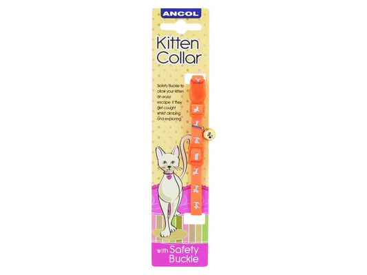 Ancol Hi-Vis Safety Kitten Collar Orange