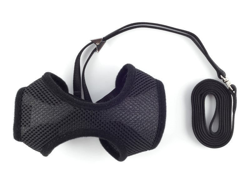 cat harness & lead set black small