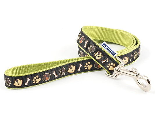 DOG & KENNEL NYLON LEAD 19MMX1M