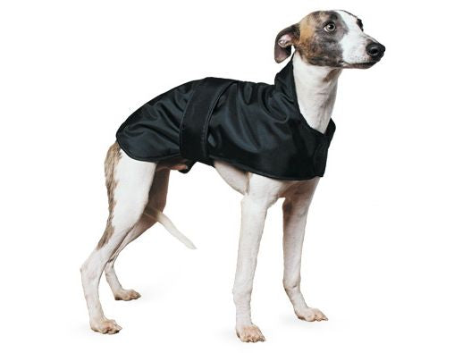 WHIPPET COAT BLACK 43CM