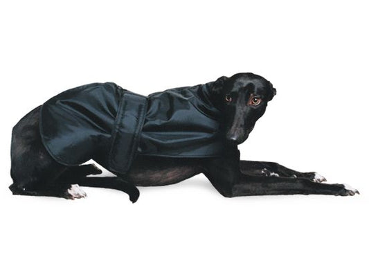 GREYHOUND COAT BLACK 70CM