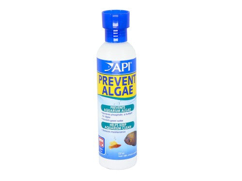 API Prevent Algae 237ml – Seth's Little Zoo