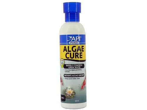 API POND ALGAE CURE 237ML
