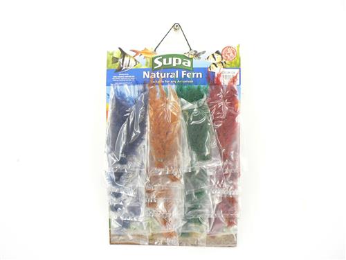 GLENKRAG SUPA COLOURFERN - CARDED 24DISP