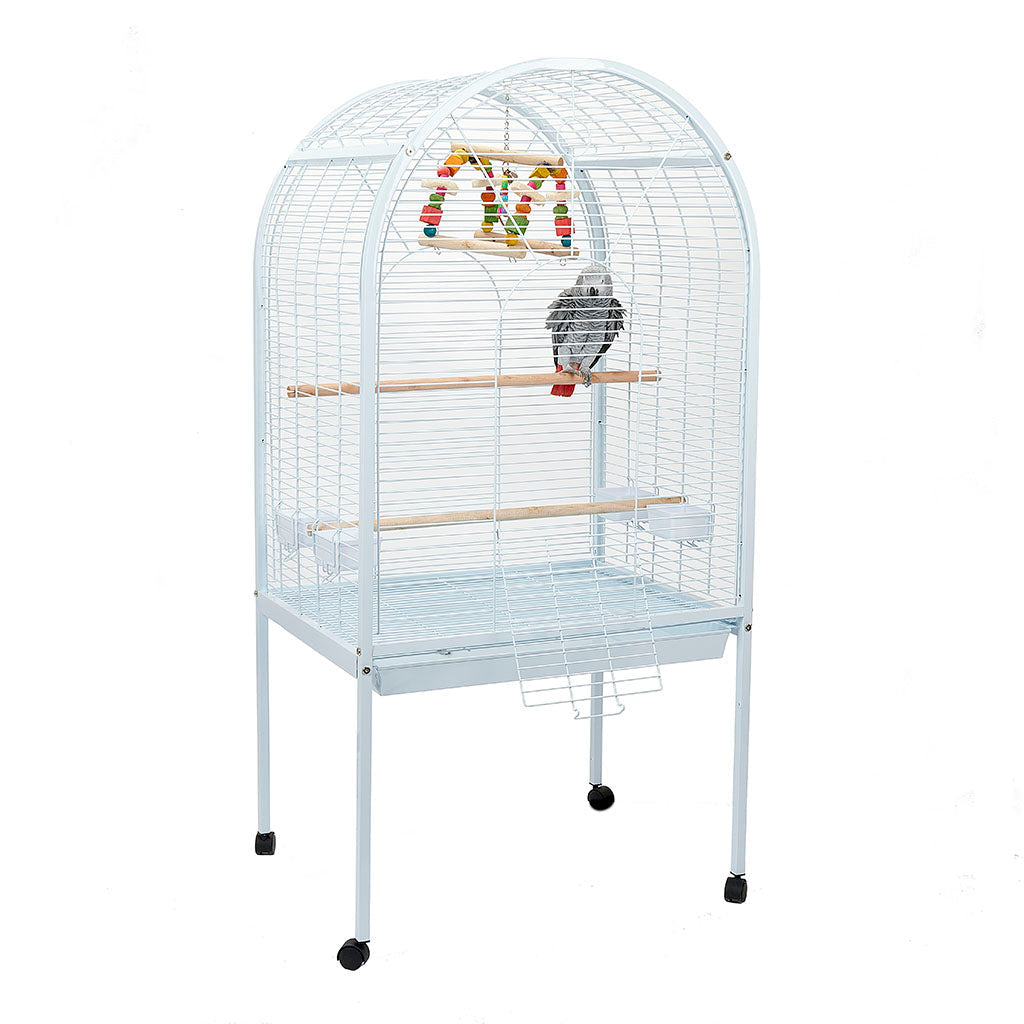 Liberta Apollo Cage