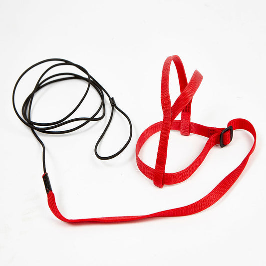 Avian Adventure Harness Small