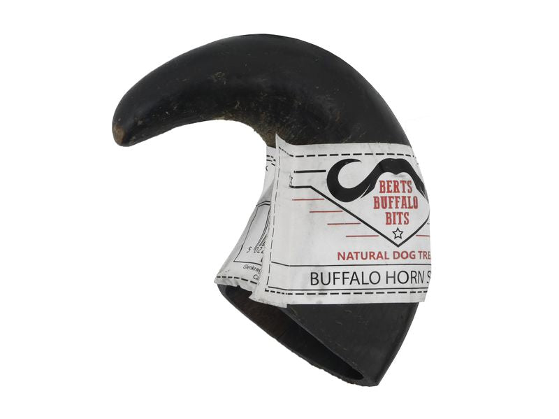 BUFFALO HORN SMALL