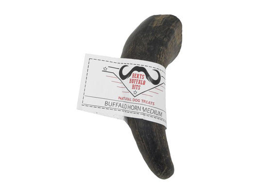 BUFFALO HORN MEDIUM