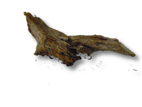 Malaysian Bogwood Medium