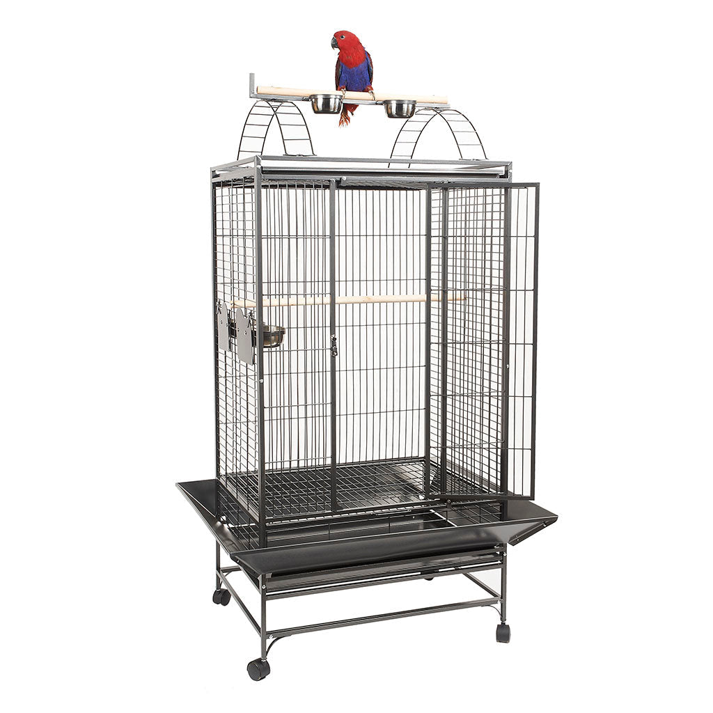 RC Barcelona Cage
