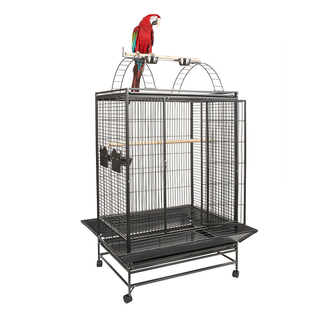 RC Belize Cage