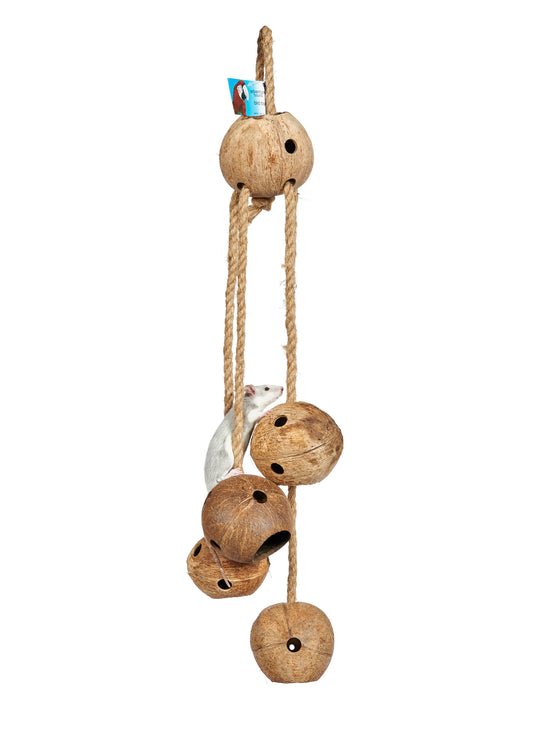 Big Coco Balls Toy