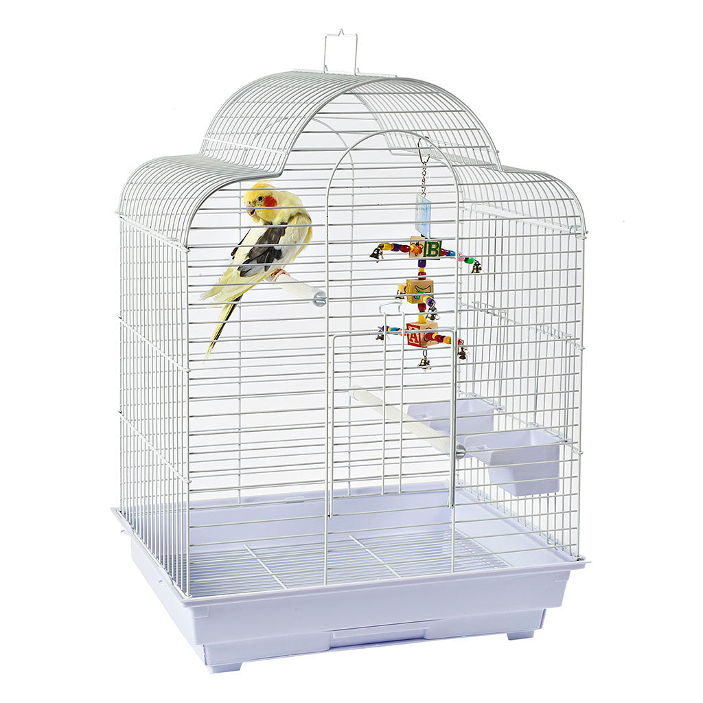 RC Brasilia Cage