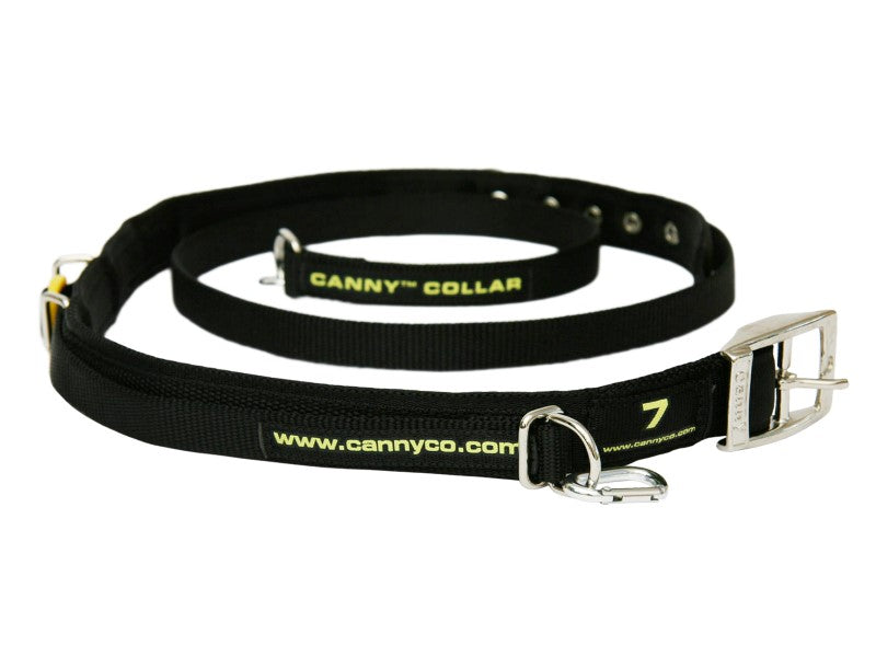 BLACK CANNY COLLAR SIZE 6