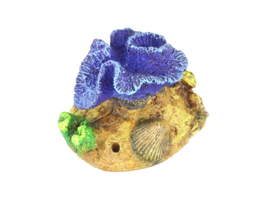 MINI CORAL ASST 2.5"