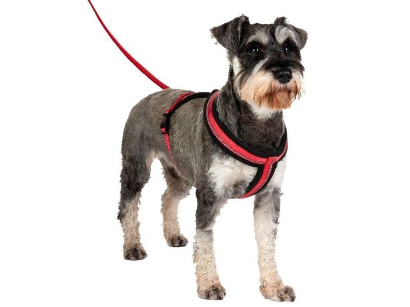 Halti Comfy Harness Red XS