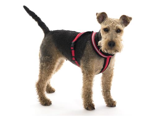 SEE CODE 17042A MAR 22 COMFY HARNESS RED