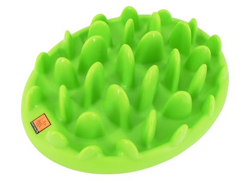Green Mini Interactive Slow Dog Feeder