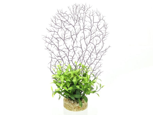 ADS CORAL FERN 19CM