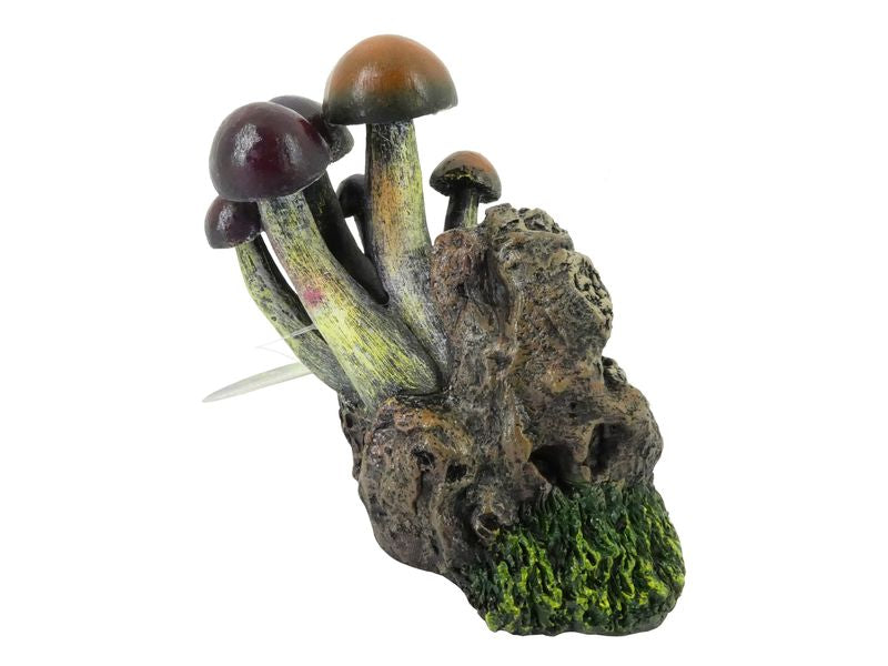 TOADSTOOLS ON ROCKS 14CM