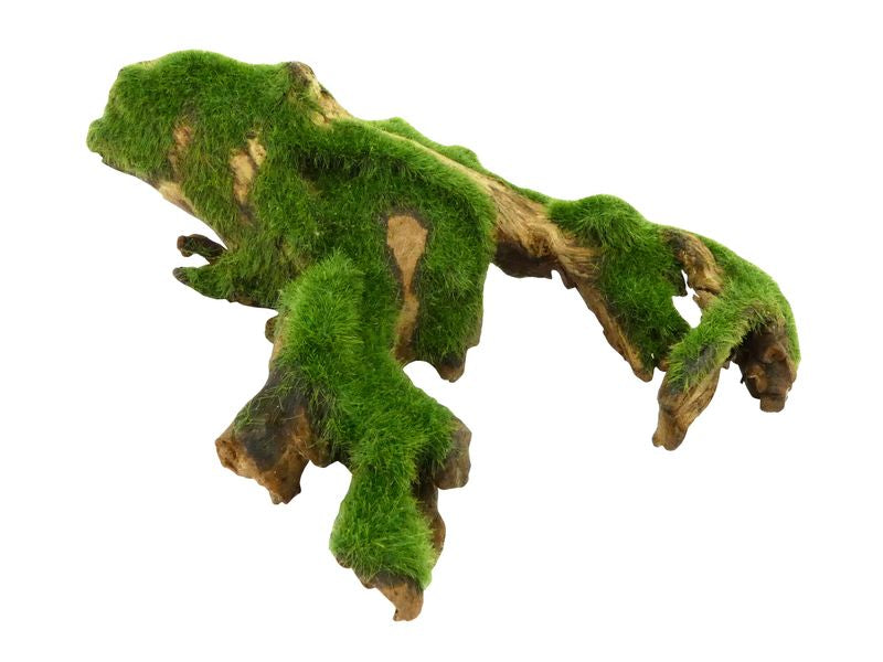 VELVET GRASSED WOOD MEDIUM