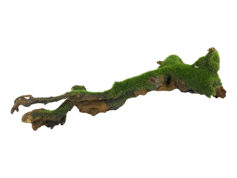 VELVET GRASSED WOOD LARGE