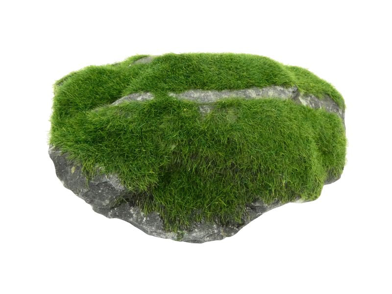 VELVET GRASSED ROCK MEDIUM