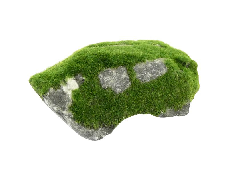 VELVET GRASSED ROCK MEDIUM