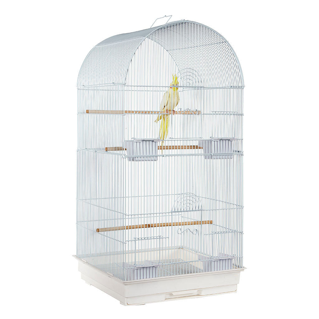 RC Caracas Cage White