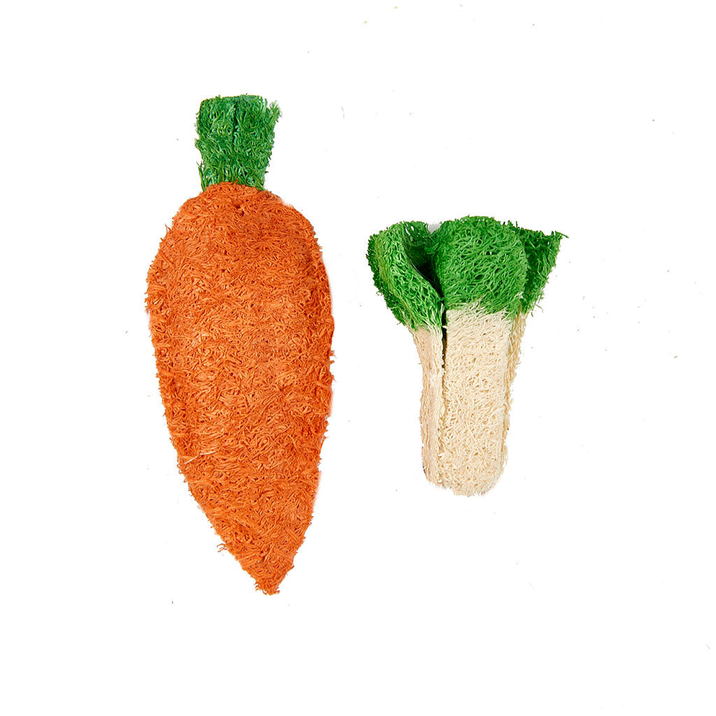 Carrot and Green Leaves