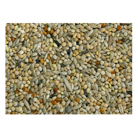 Bamfords Top Flight Continental Budgie Food 20kg