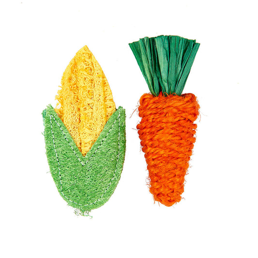 Corn and Carrot