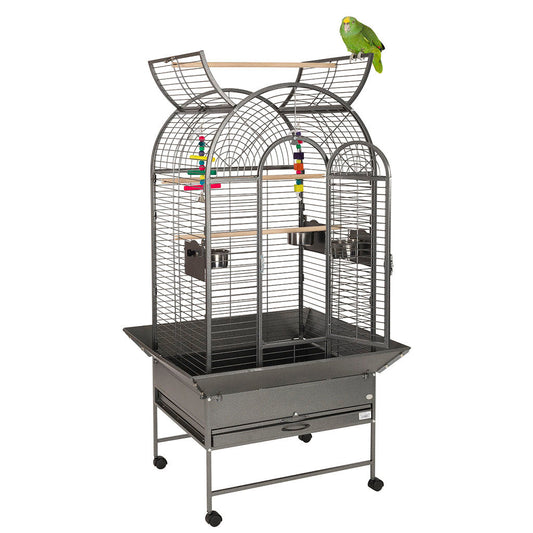 Liberta Cortes Cage