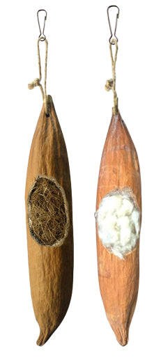 Cotton Pod Toy
