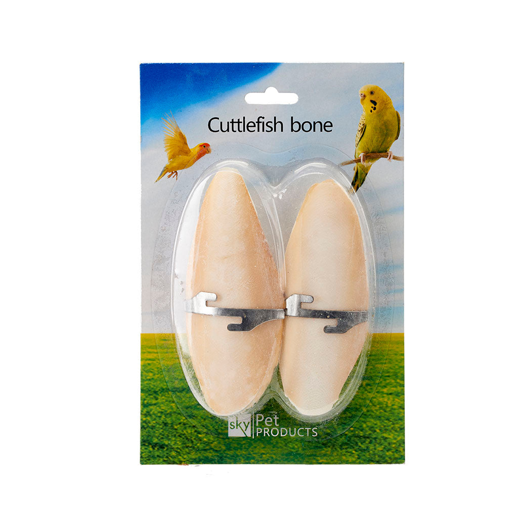 Cuttlefish Bone