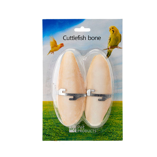 Cuttlefish Bone