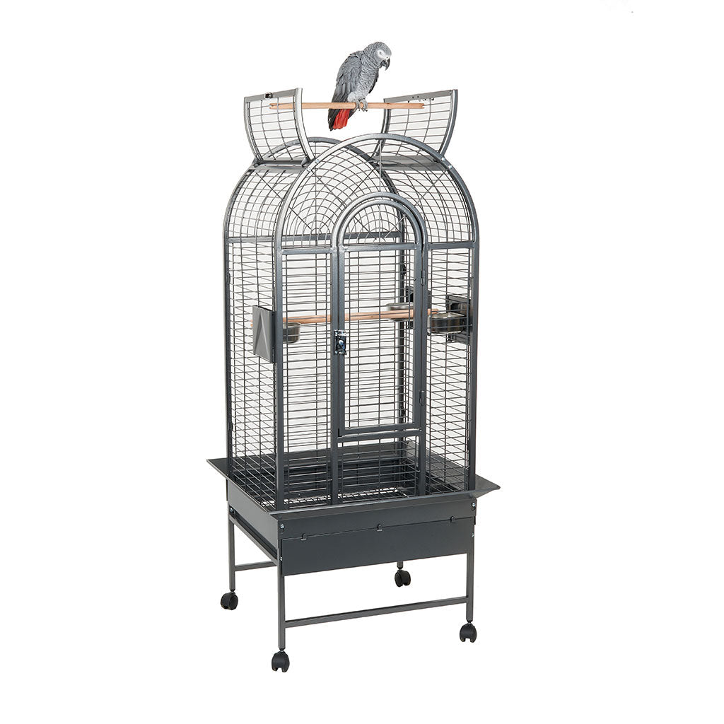 RC Ecuador II Cage Antique