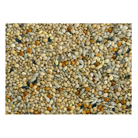 Bamfords Top Flight Foreign Finch Seed 20kg