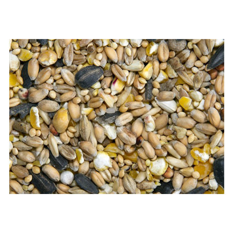 Bamfords Top Flight Four Seasons Wild Bird Food 20kg