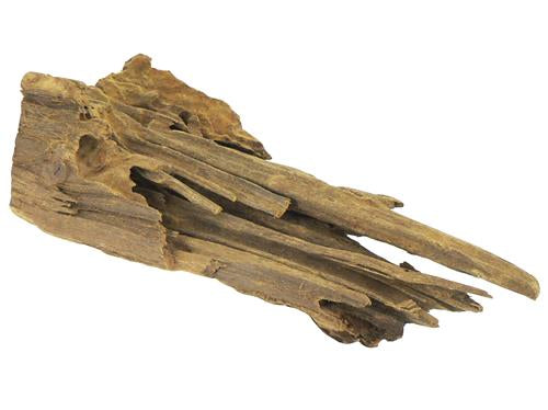 Mangrove Wood Medium 25-33cm