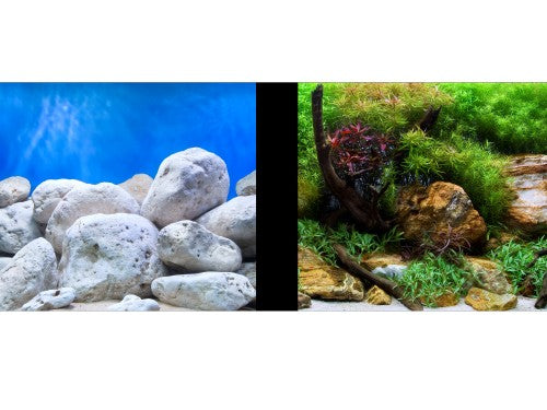 Aquagarden & Bright Stone Double-Sided Background 24" 25ft