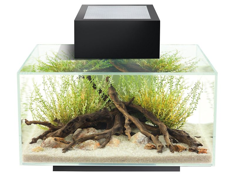 Fluval Edge 2.0 23L Aquarium Gloss Black